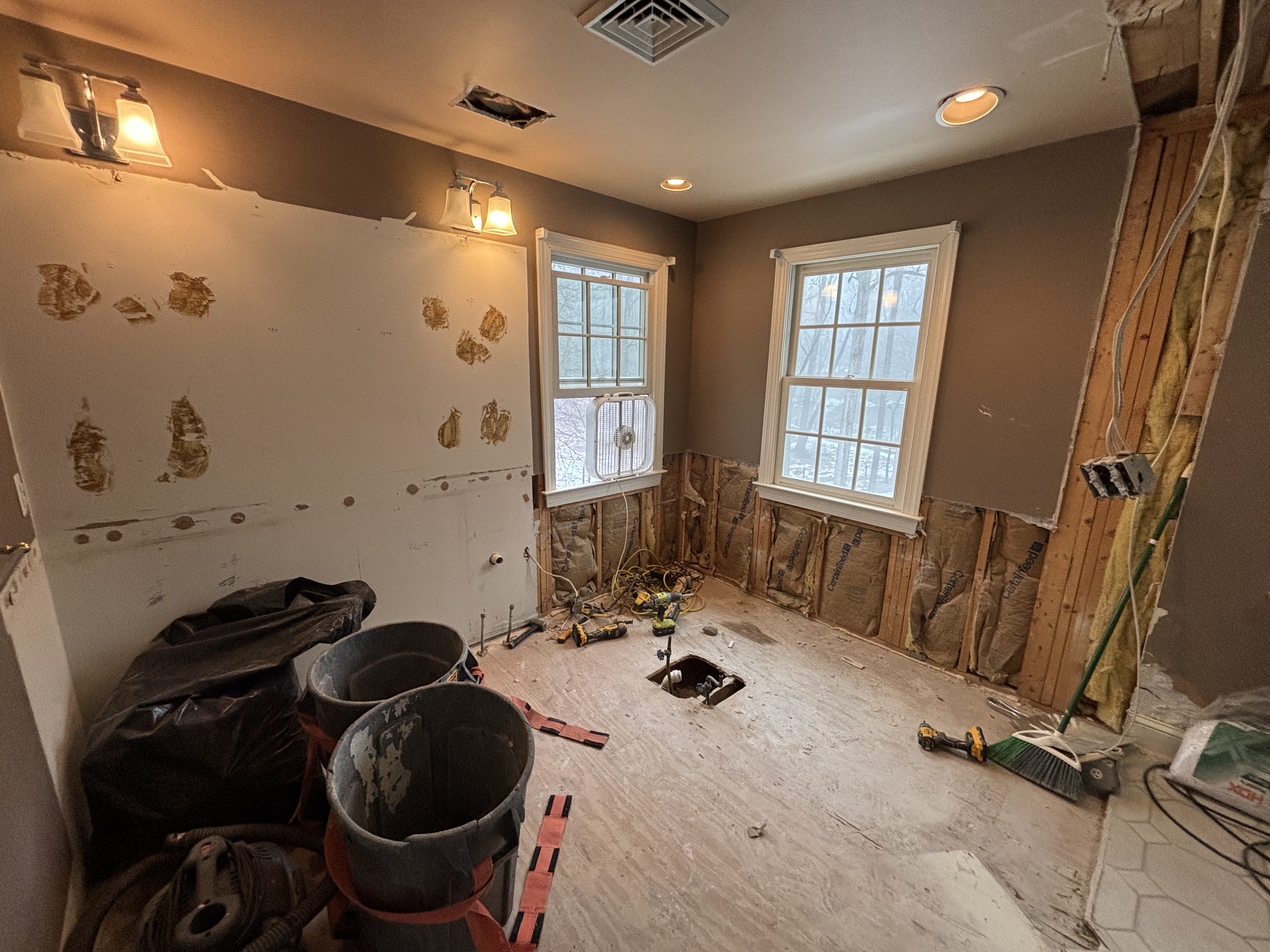 Full master bathroom demolition revealing extent of water damage and rot from failed shower waterproofing